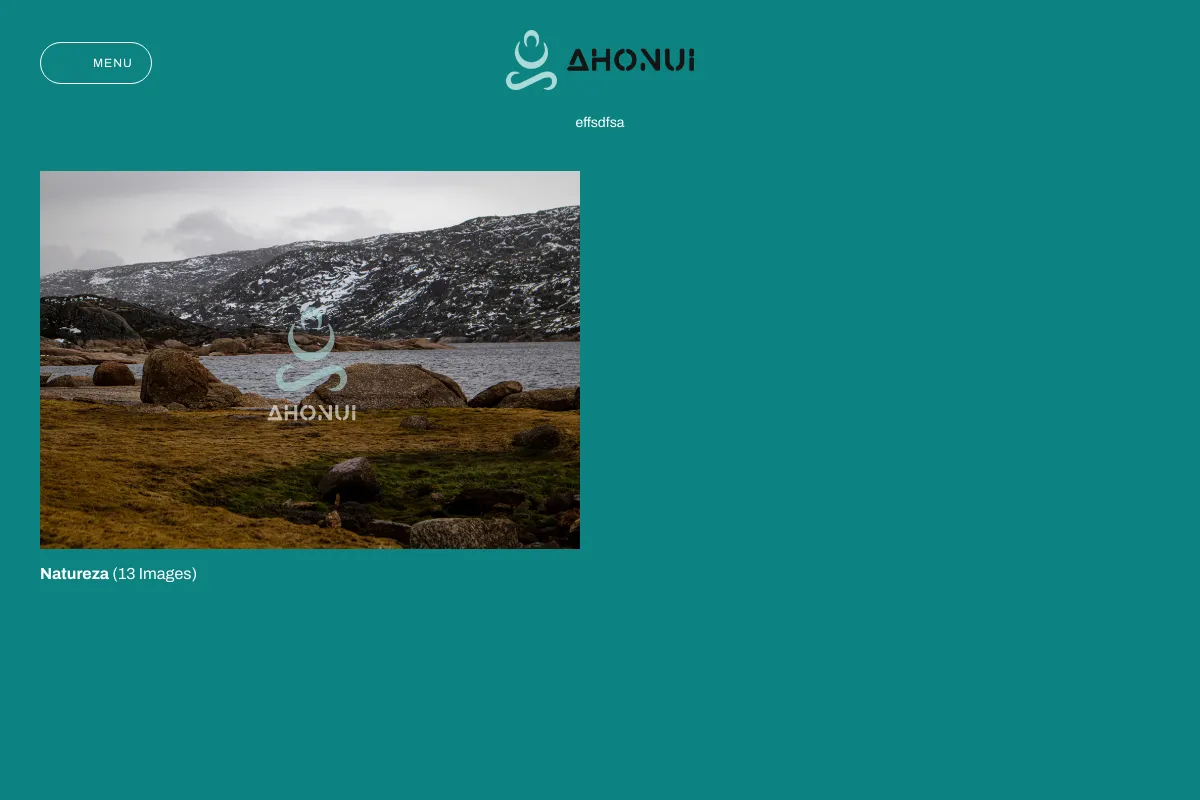 ahonui