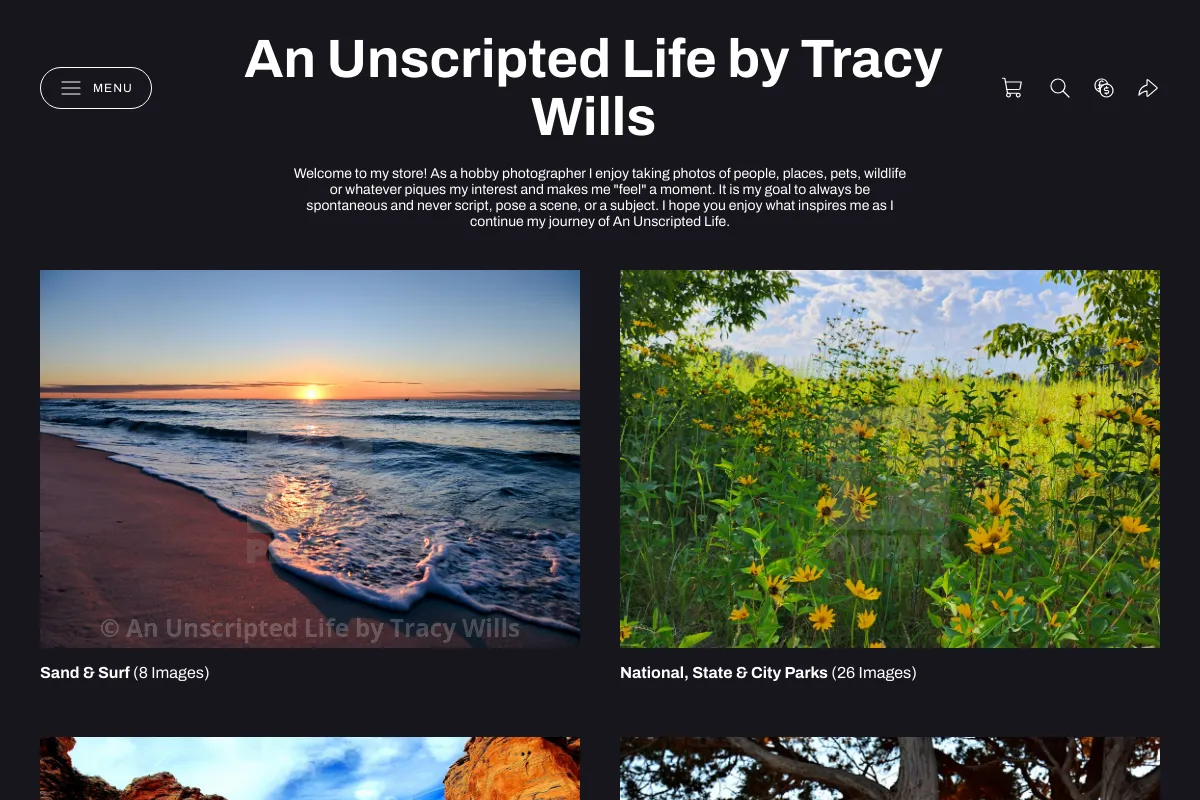 An Unscripted Life by Tracy Wills
