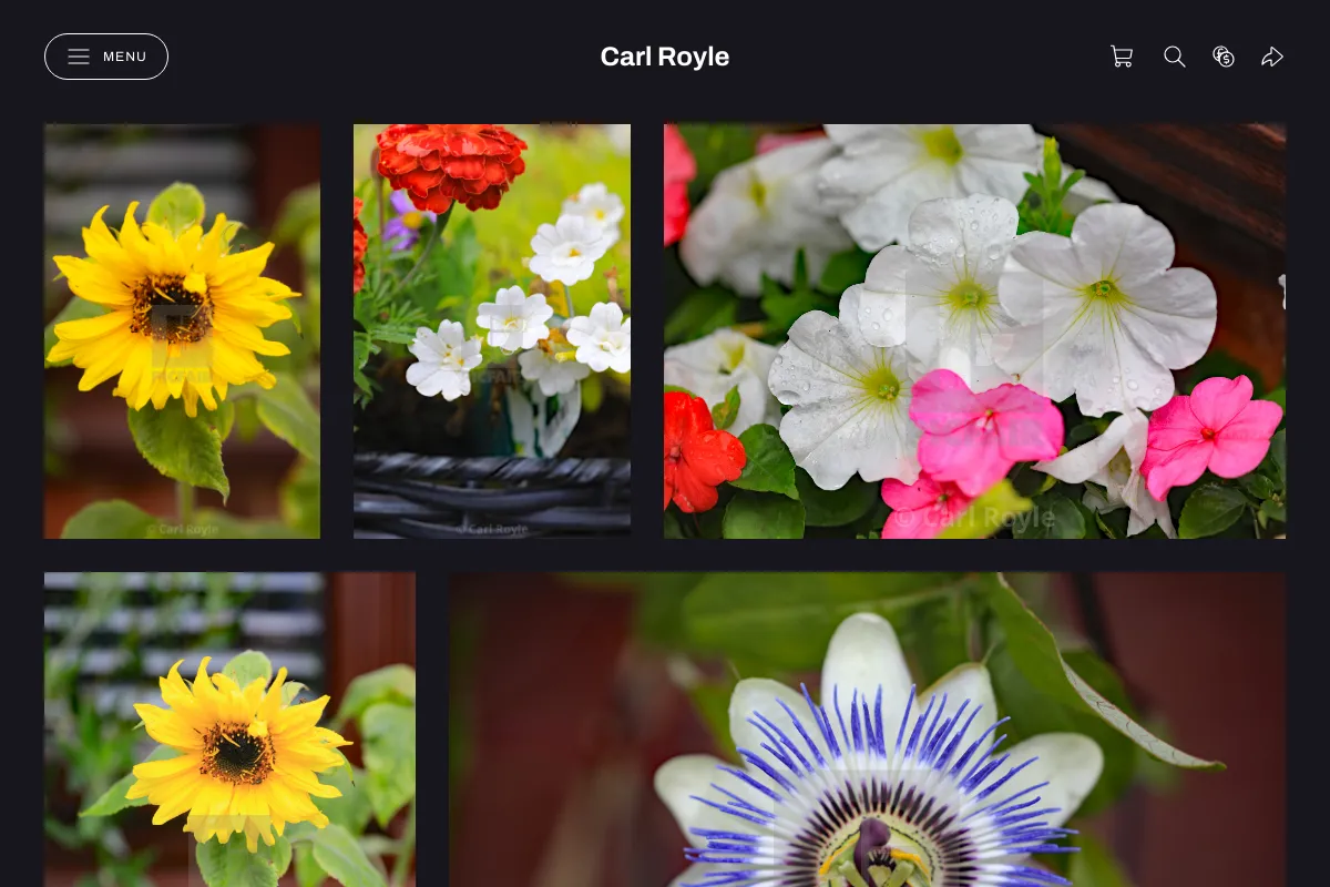 Carl Royle