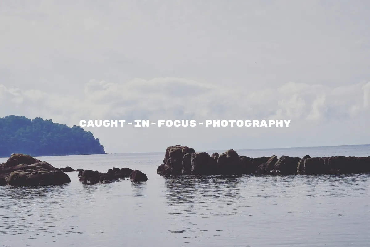Caught-In-Focus-Photography