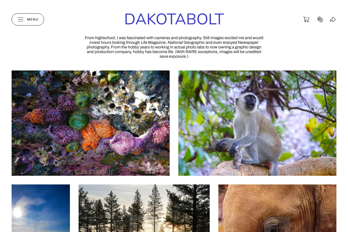 DakotaBolt