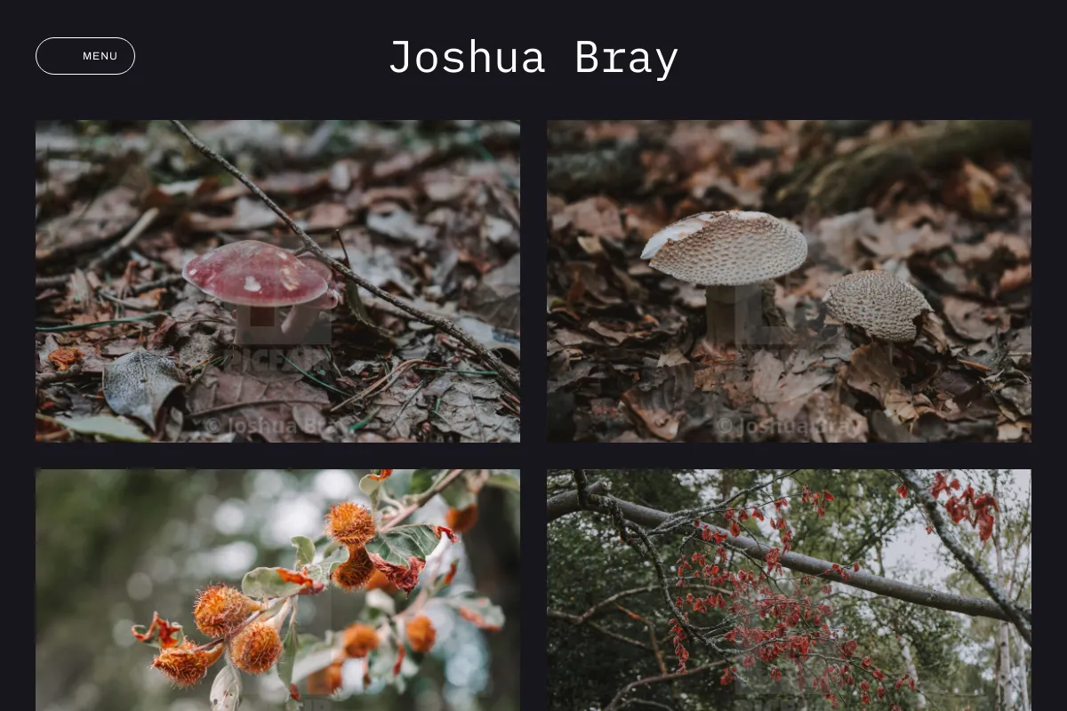 Joshua Bray