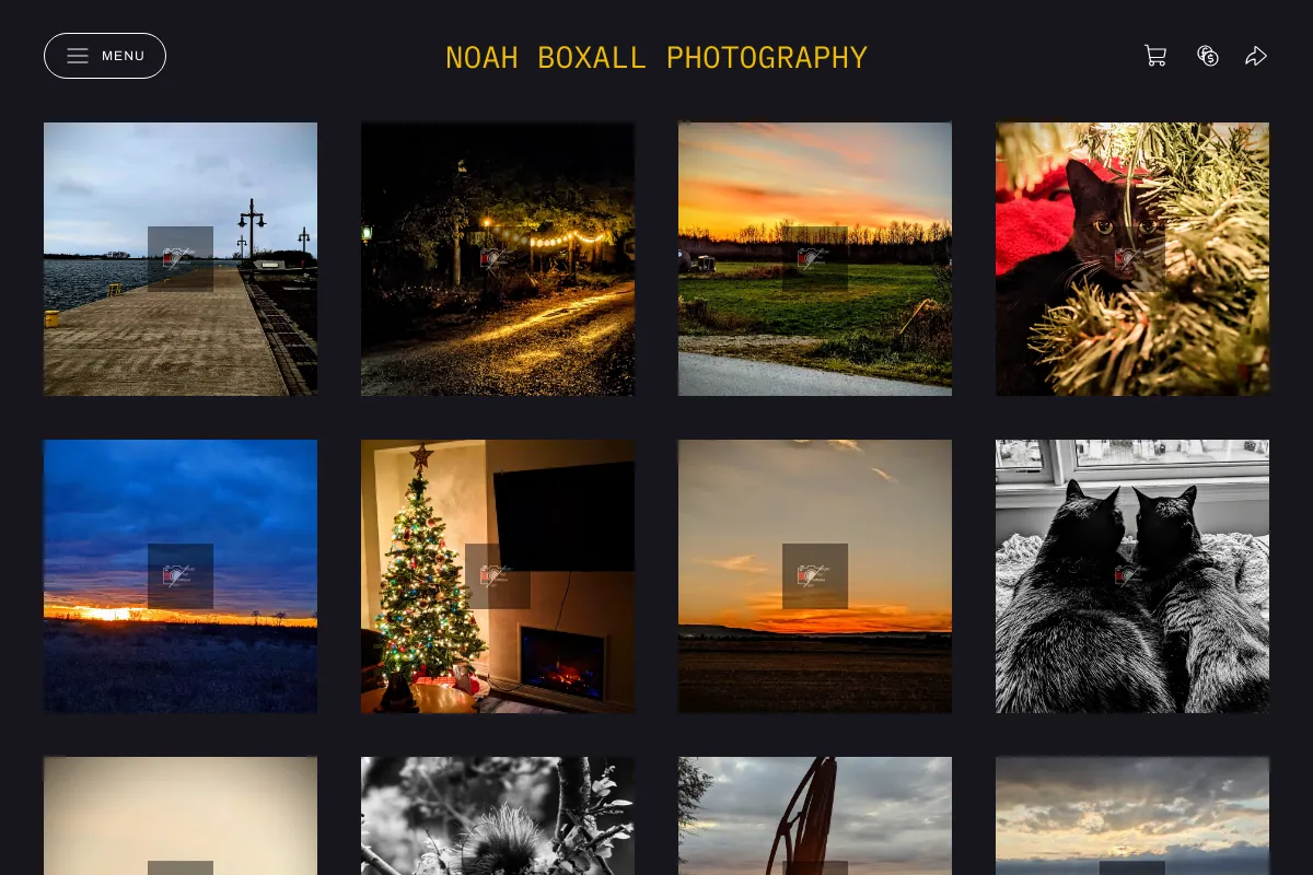 Noah Boxall Photography