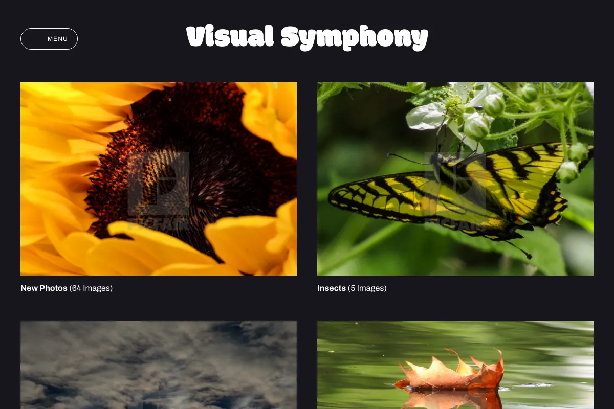 Visual Symphony