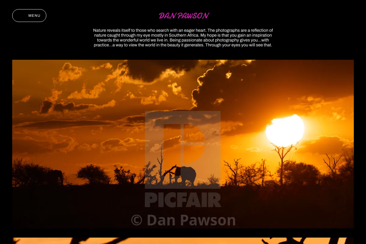 Dan Pawson