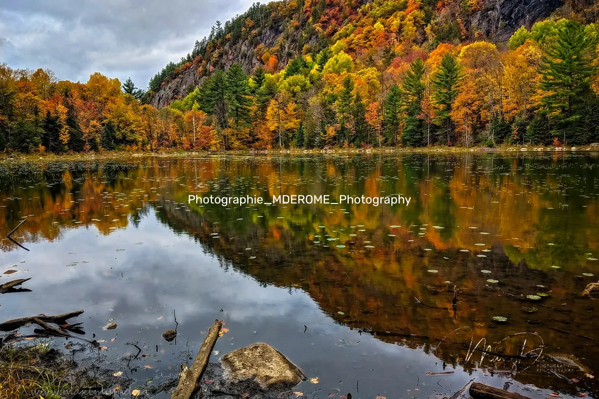 Photographie_MDEROME_Photography