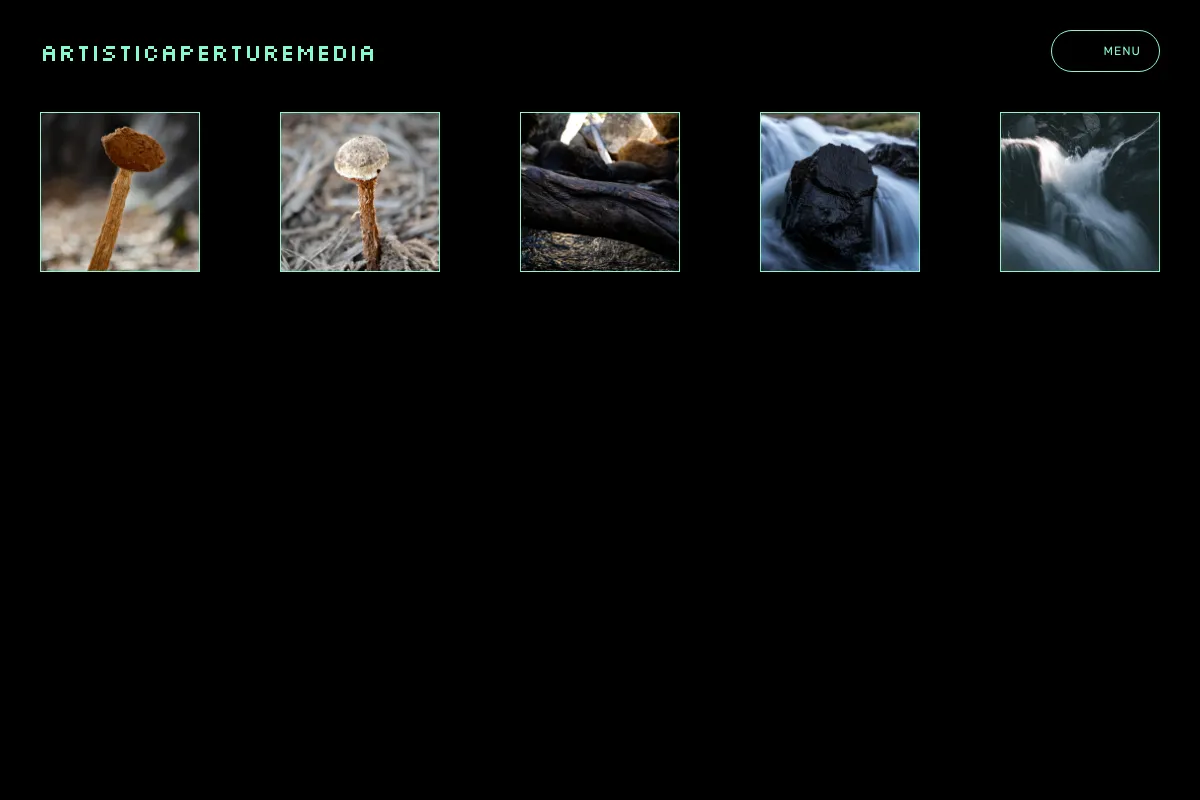 ArtisticApertureMedia