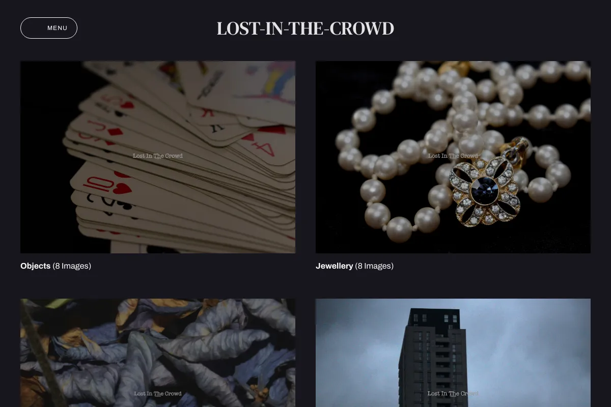 lost-in-the-crowd