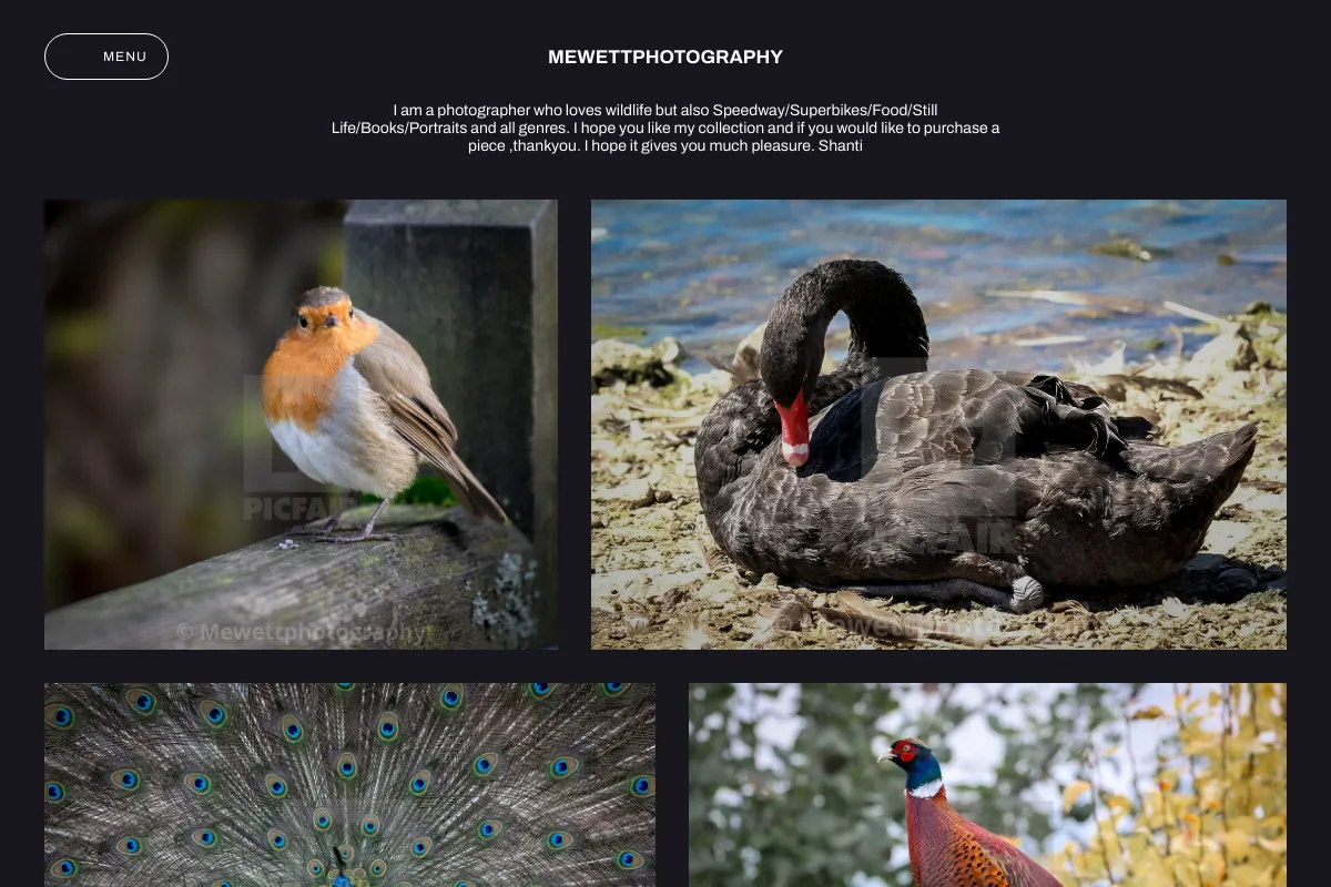 Mewettphotography