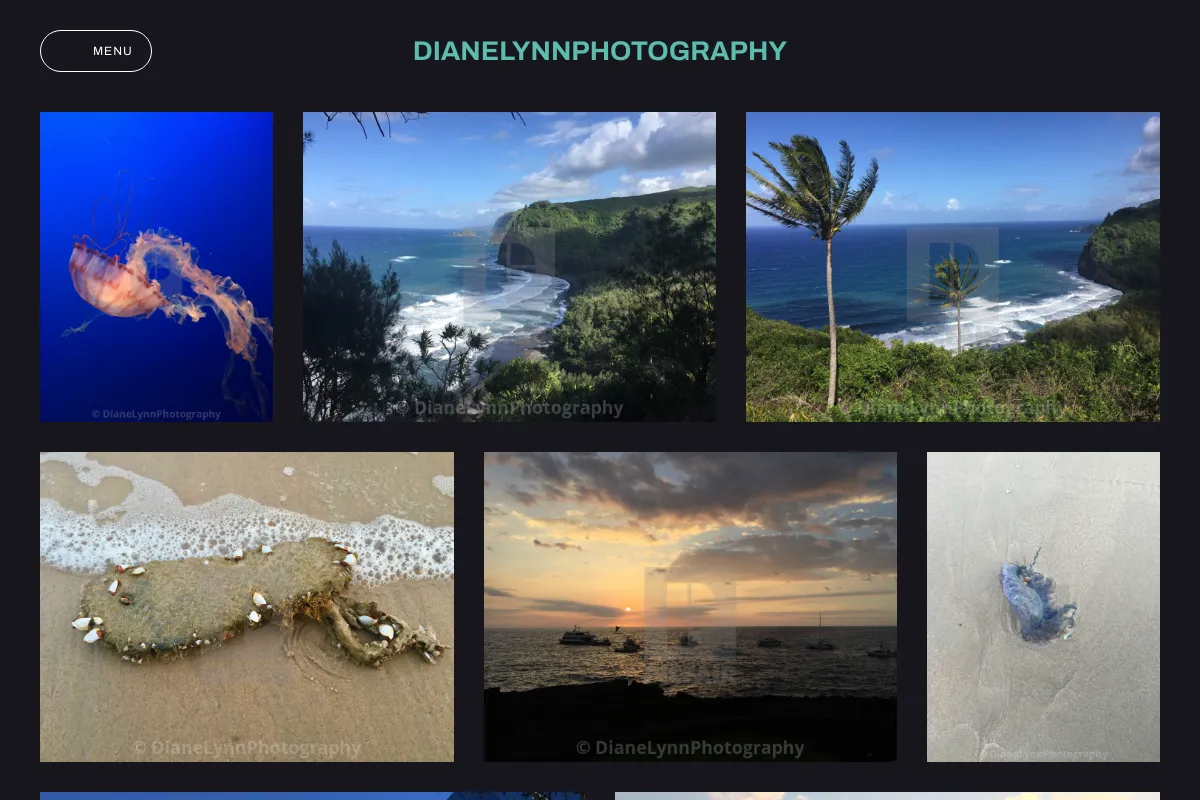 DianeLynnPhotography