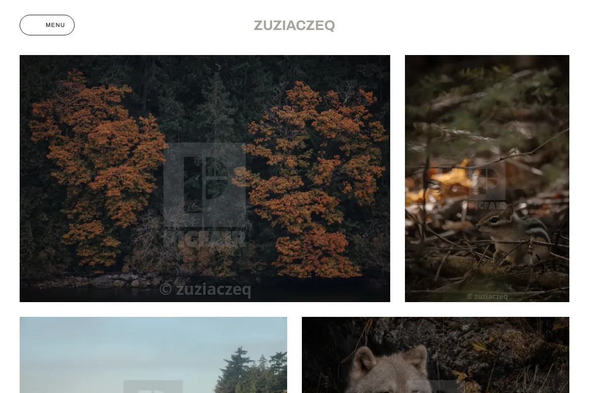 zuziaczeq