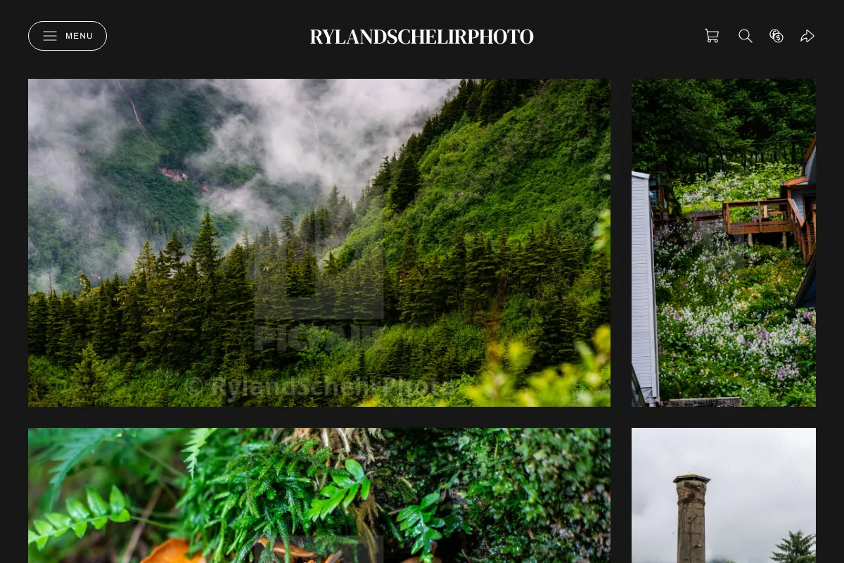 RylandSchelirPhoto
