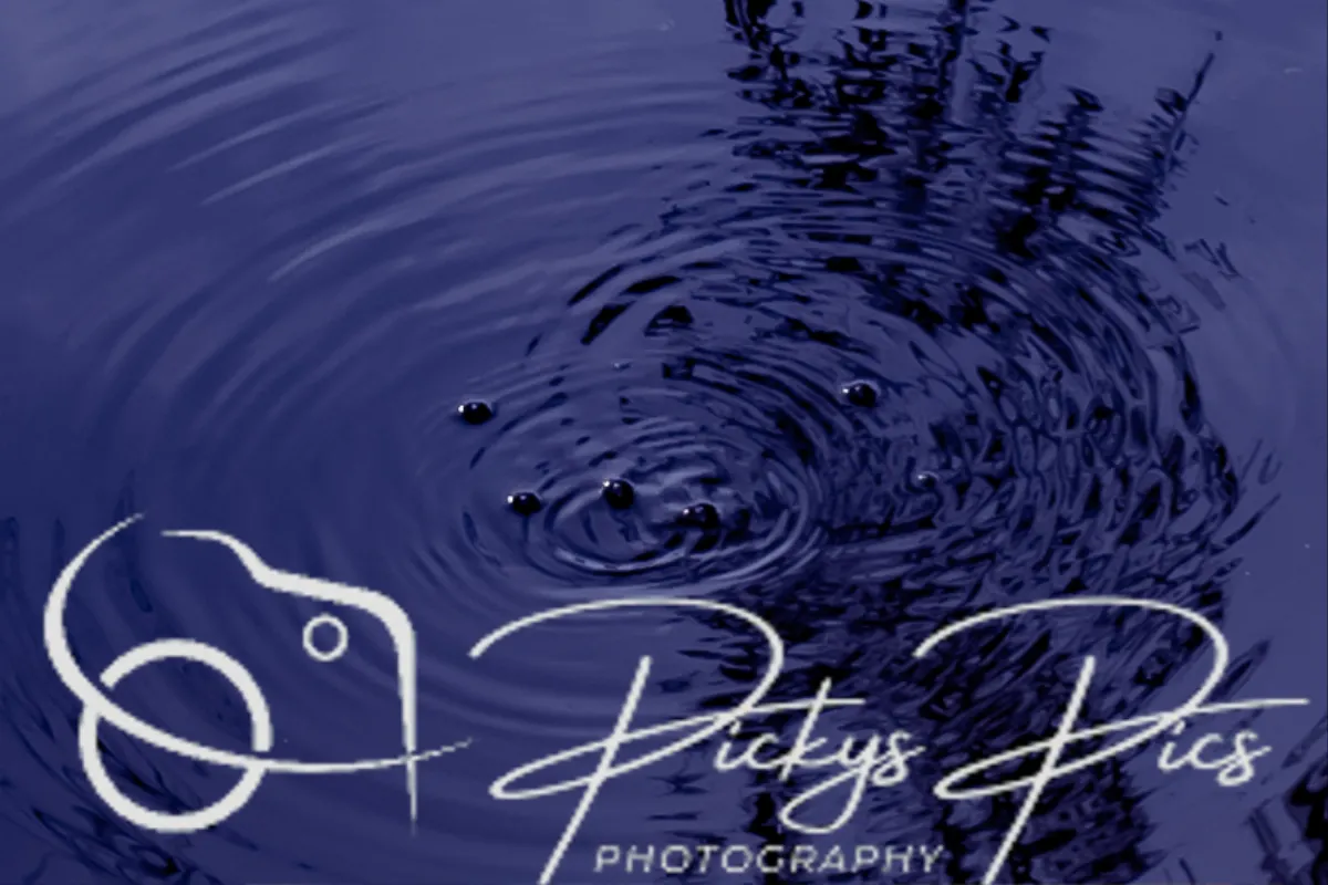 Pickys Pics