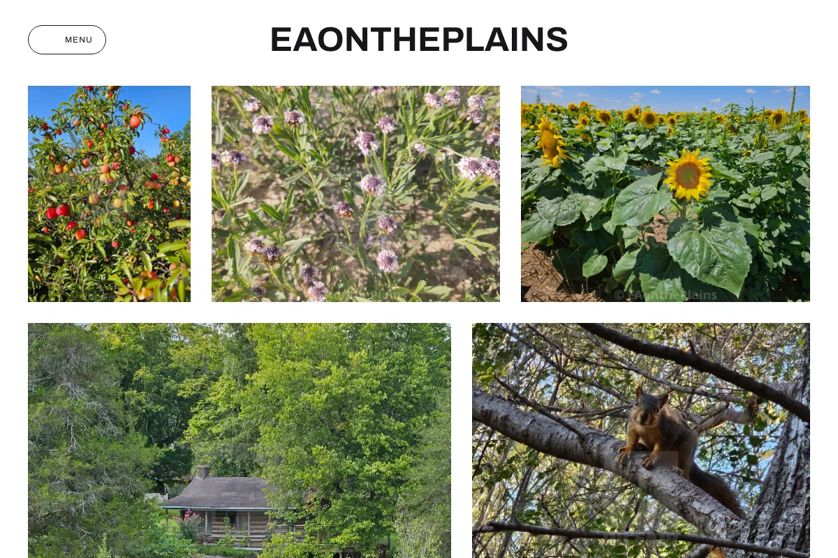 EAonthePlains