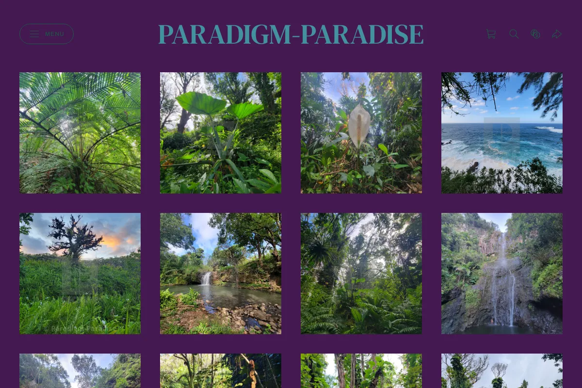 Paradigm-Paradise