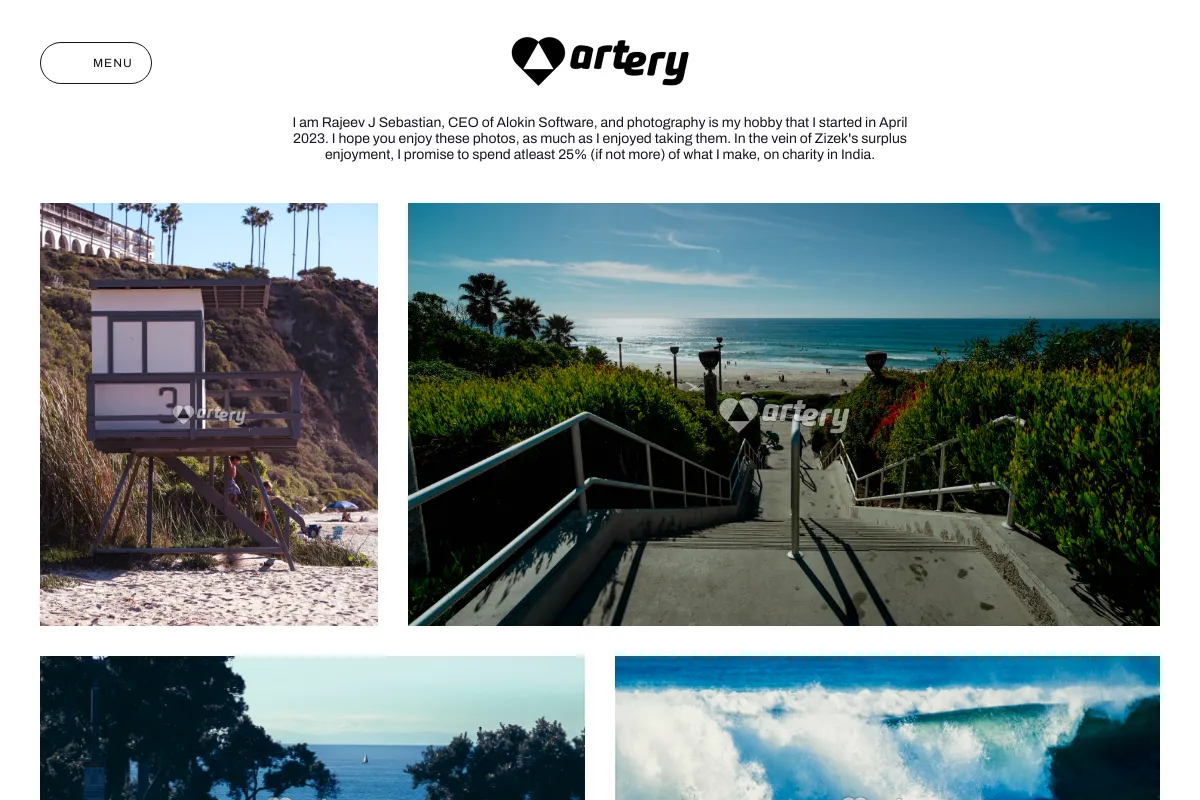 artery