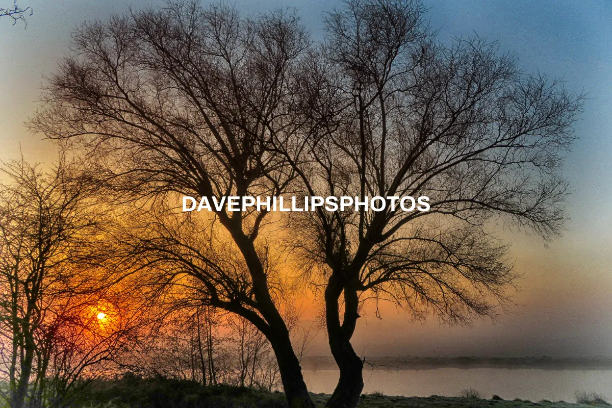 DavePhillipsPhotos