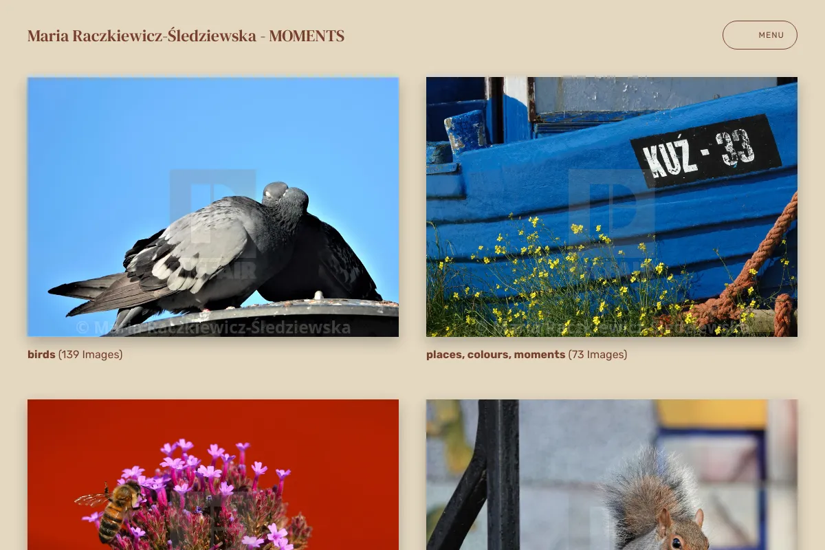 Maria Raczkiewicz-Śledziewska - MOMENTS