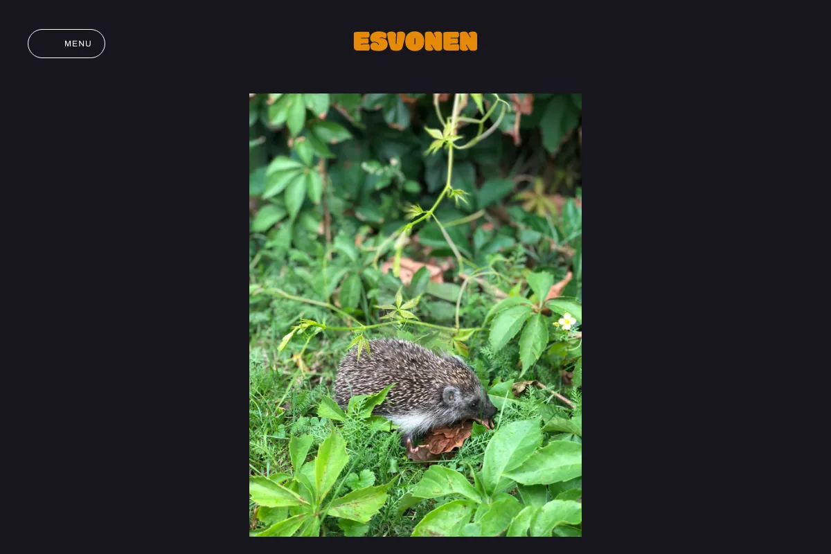esvonen