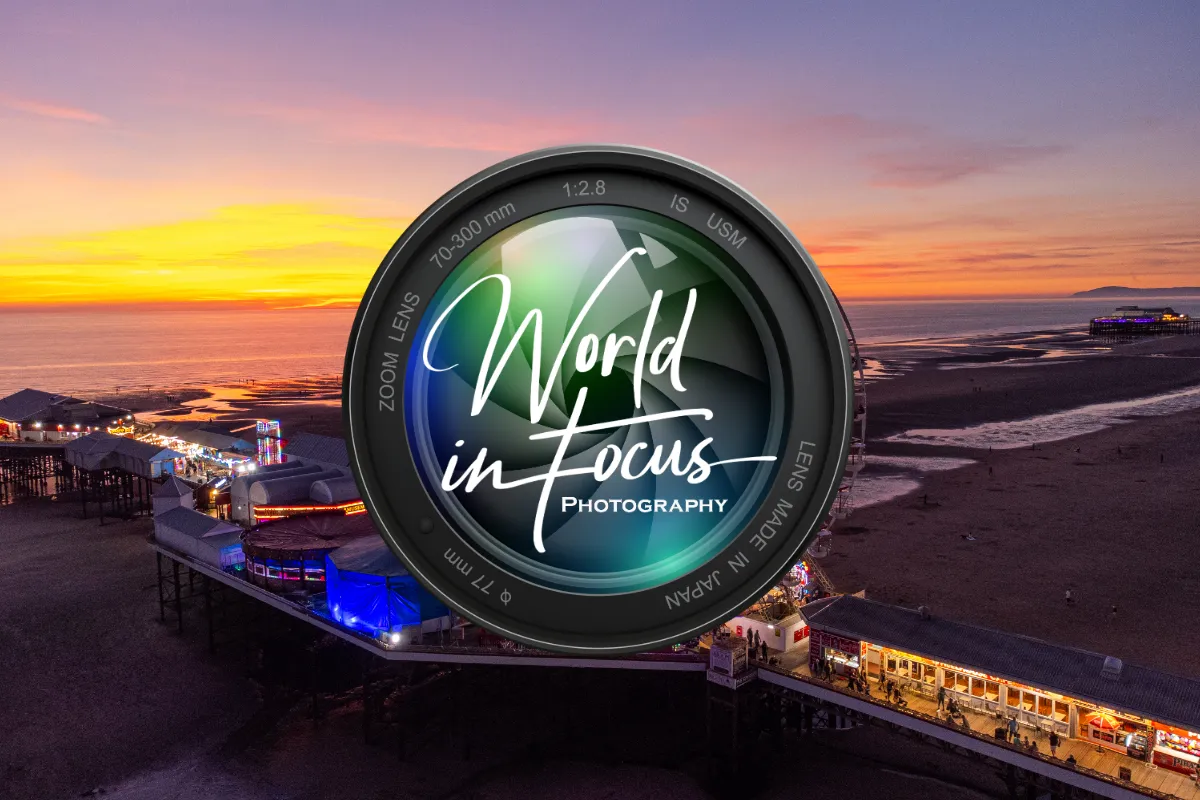 World In Focus Photography
