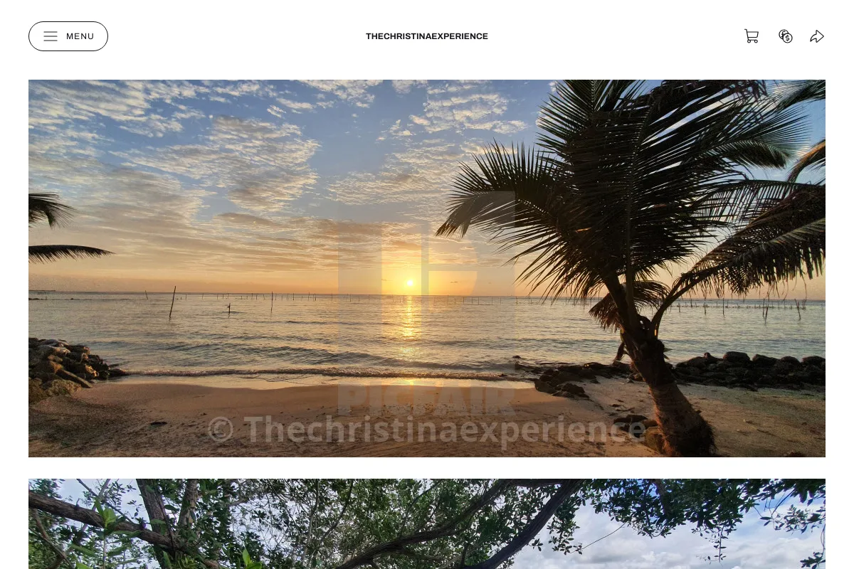 Thechristinaexperience