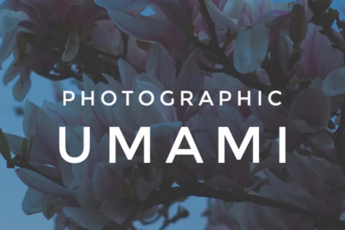 Photographic-umami