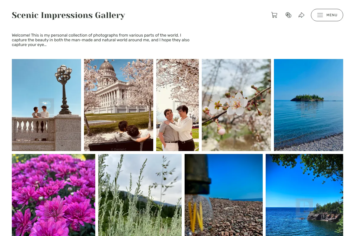Scenic Impressions Gallery