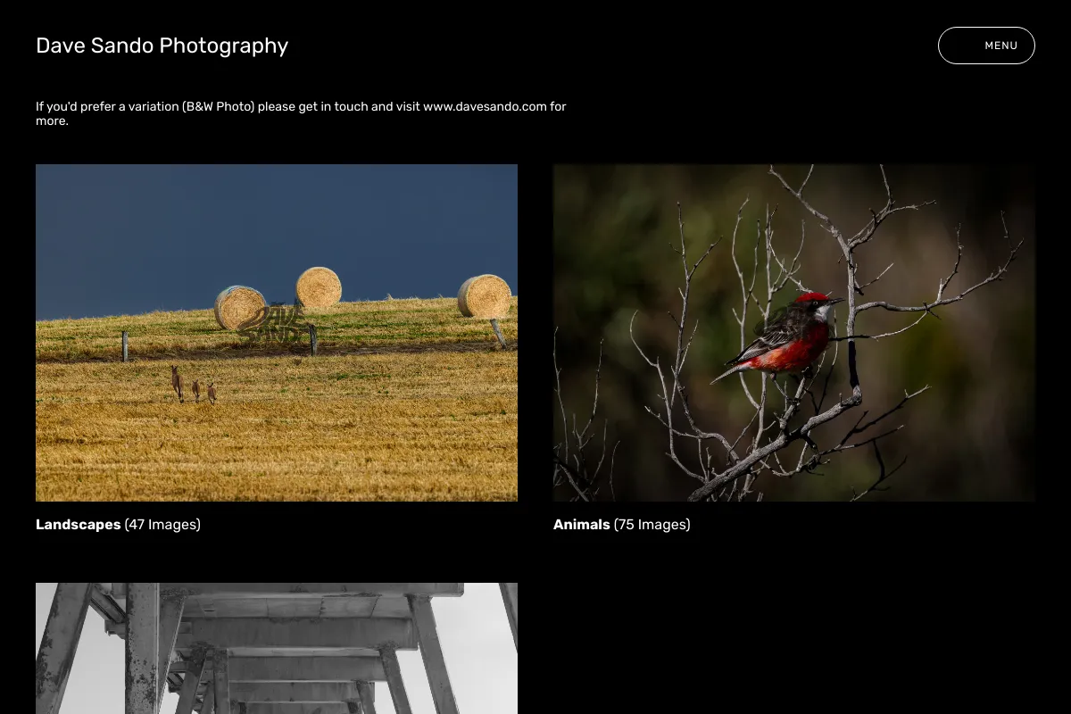 Dave Sando Photography