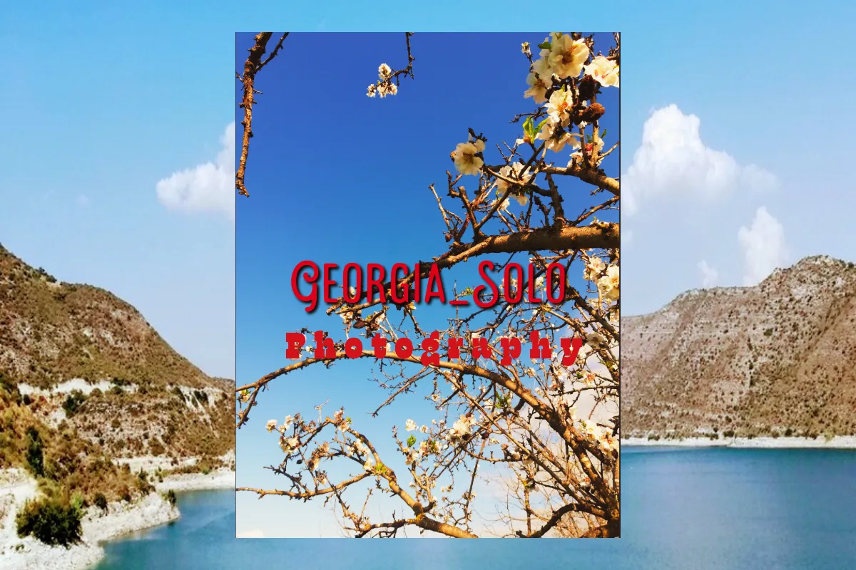 GeorGia_SoLo  photography 