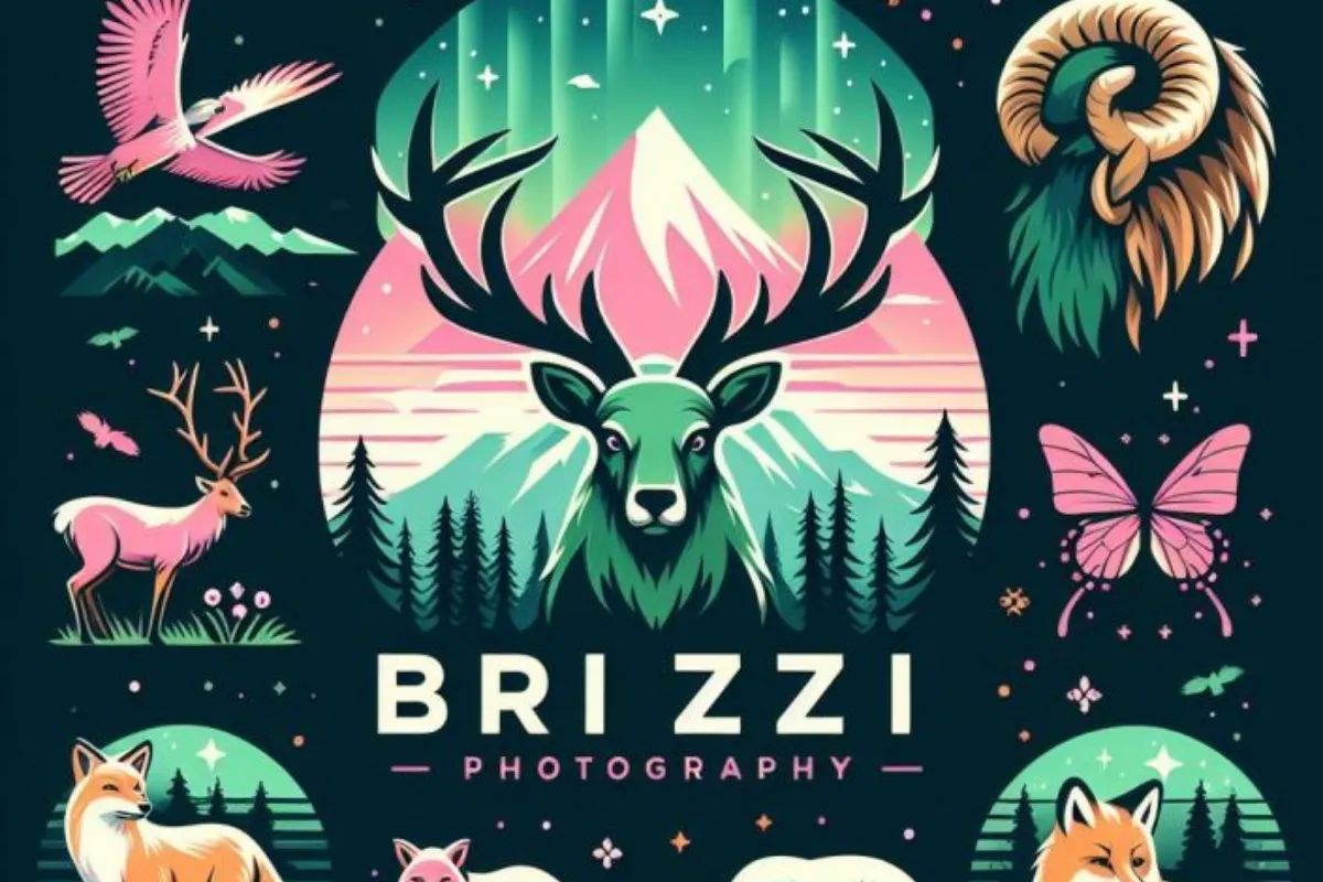 BrizziPhotography