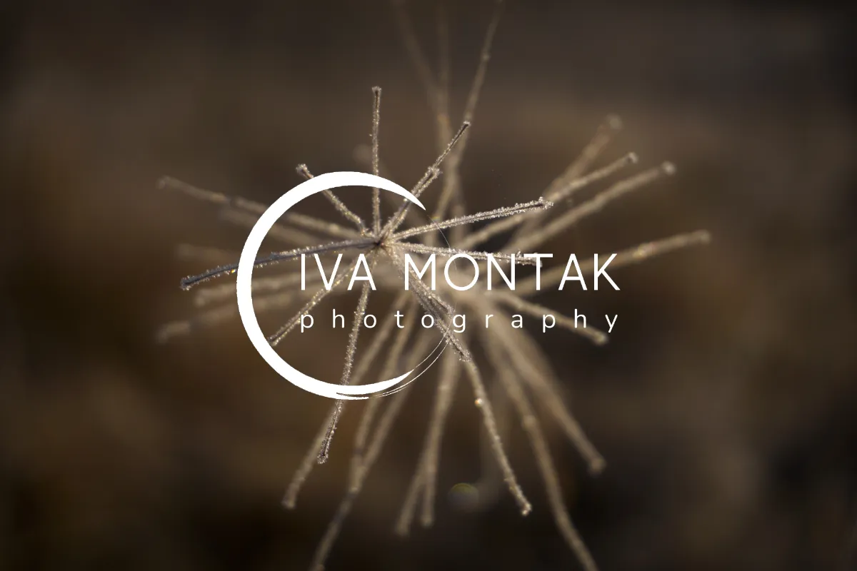 iva montak photography