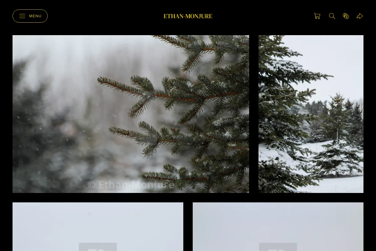 Ethan-Monjure