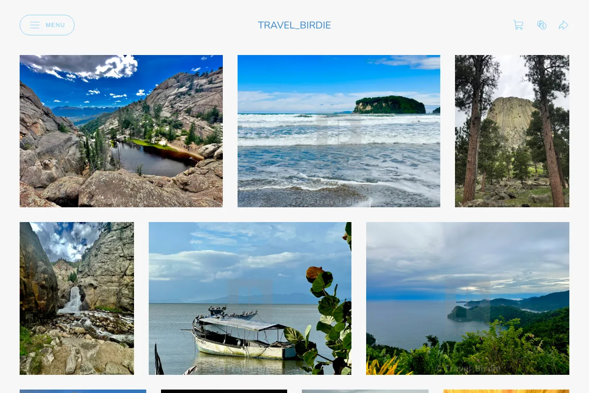 Travel_Birdie