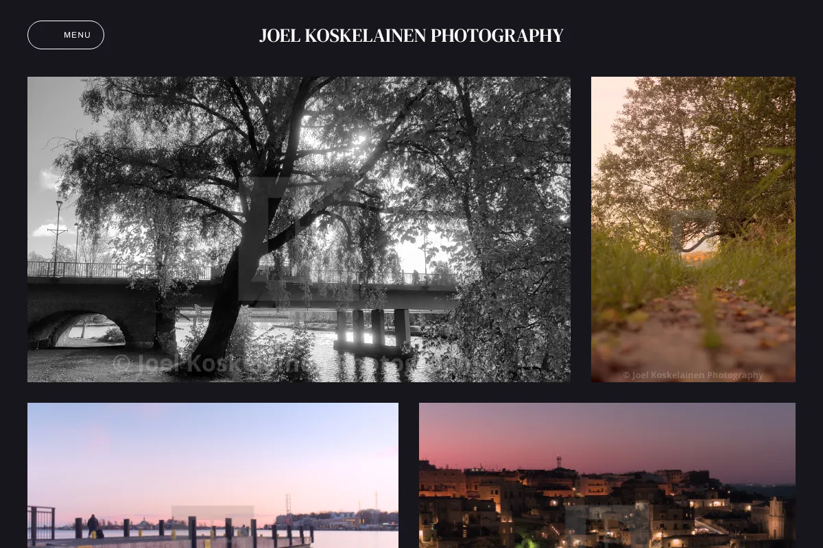 Joel Koskelainen Photography