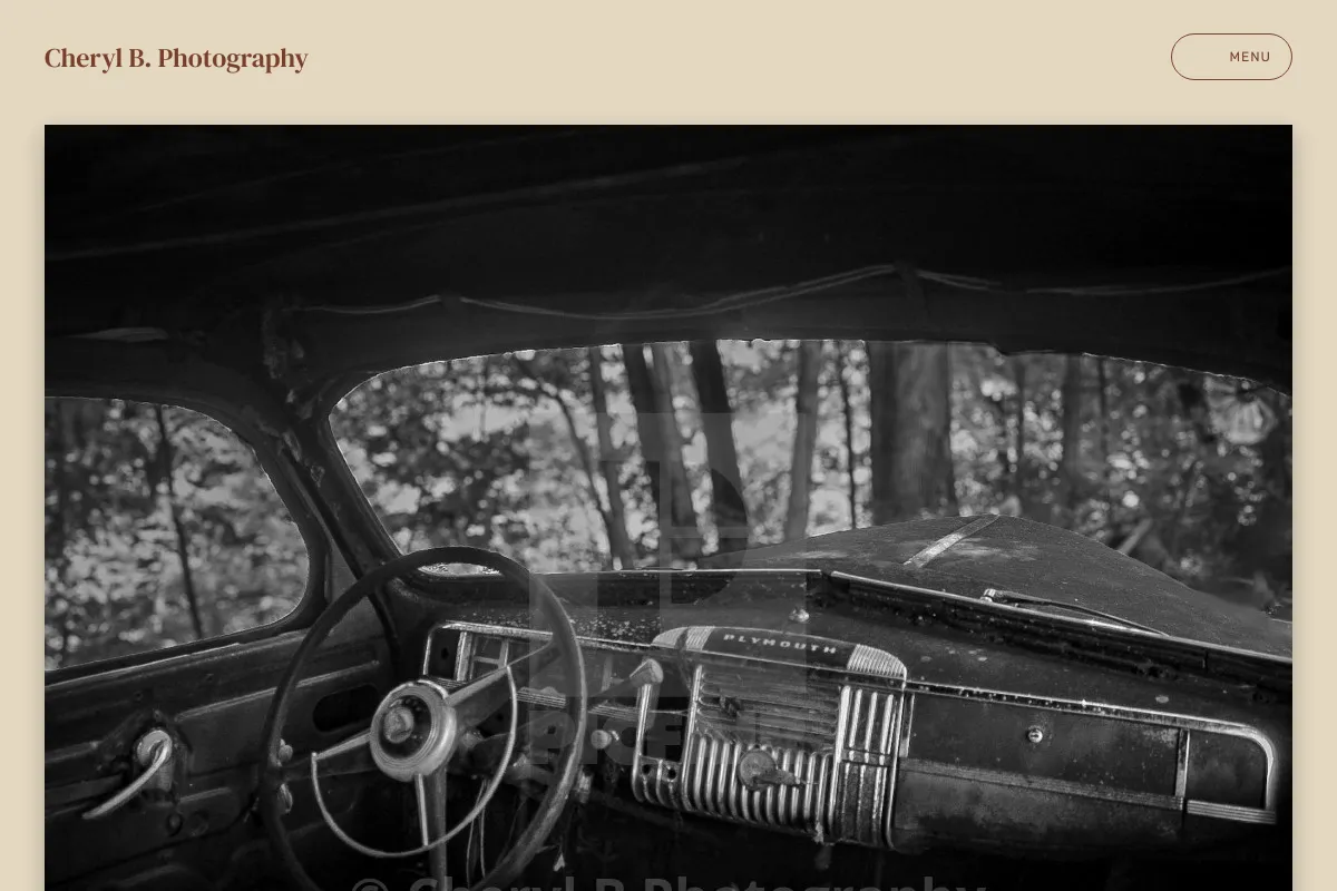 Cheryl B. Photography 