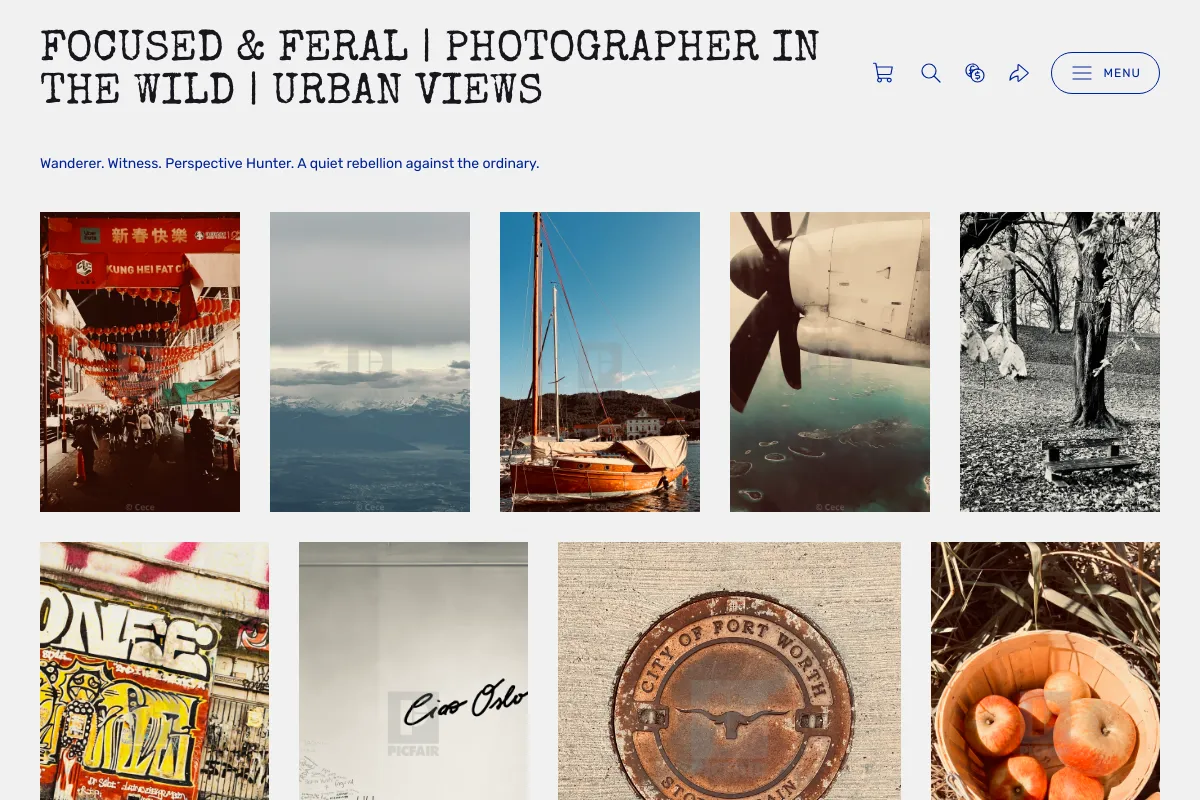 Focused & Feral | Photographer in the Wild | Urban Views
