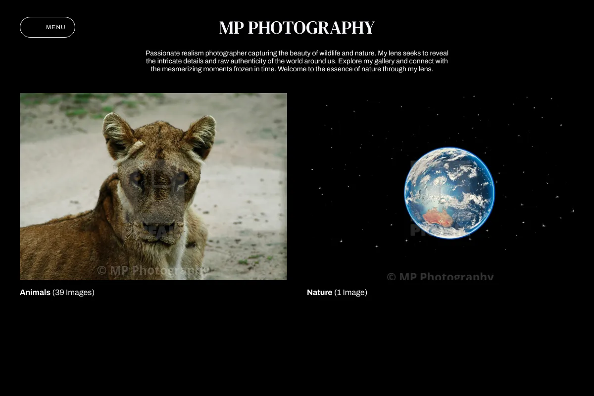 MP Photography 