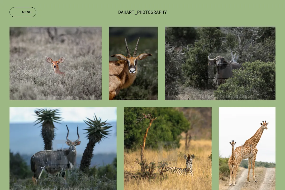 Dahart_photography