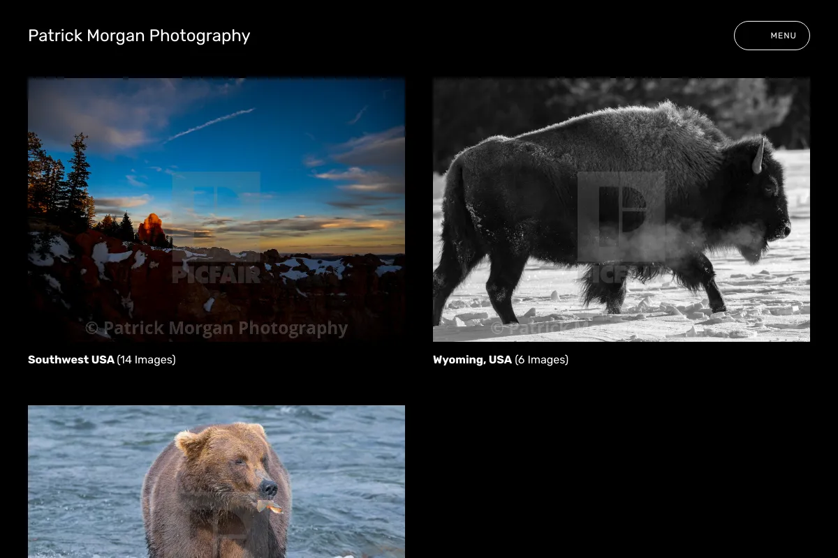 Patrick Morgan Photography