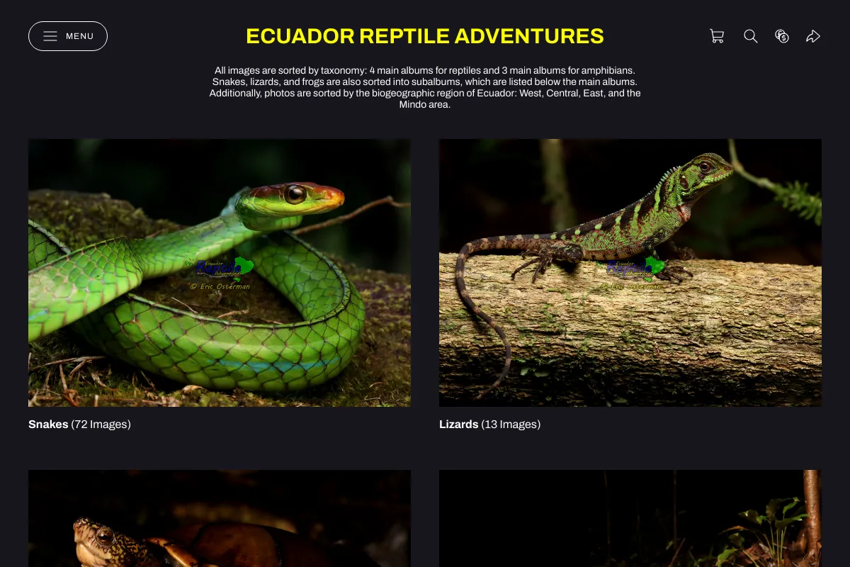 Ecuador Reptile Adventures