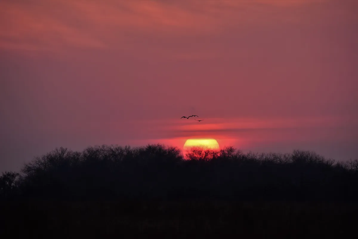 https://kenbeard8.picfair.com