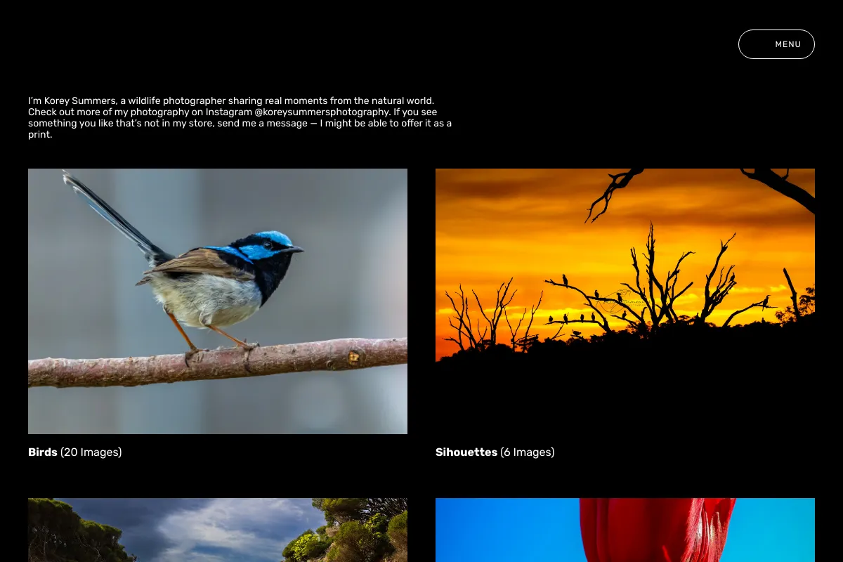 Korey Summers Photography 