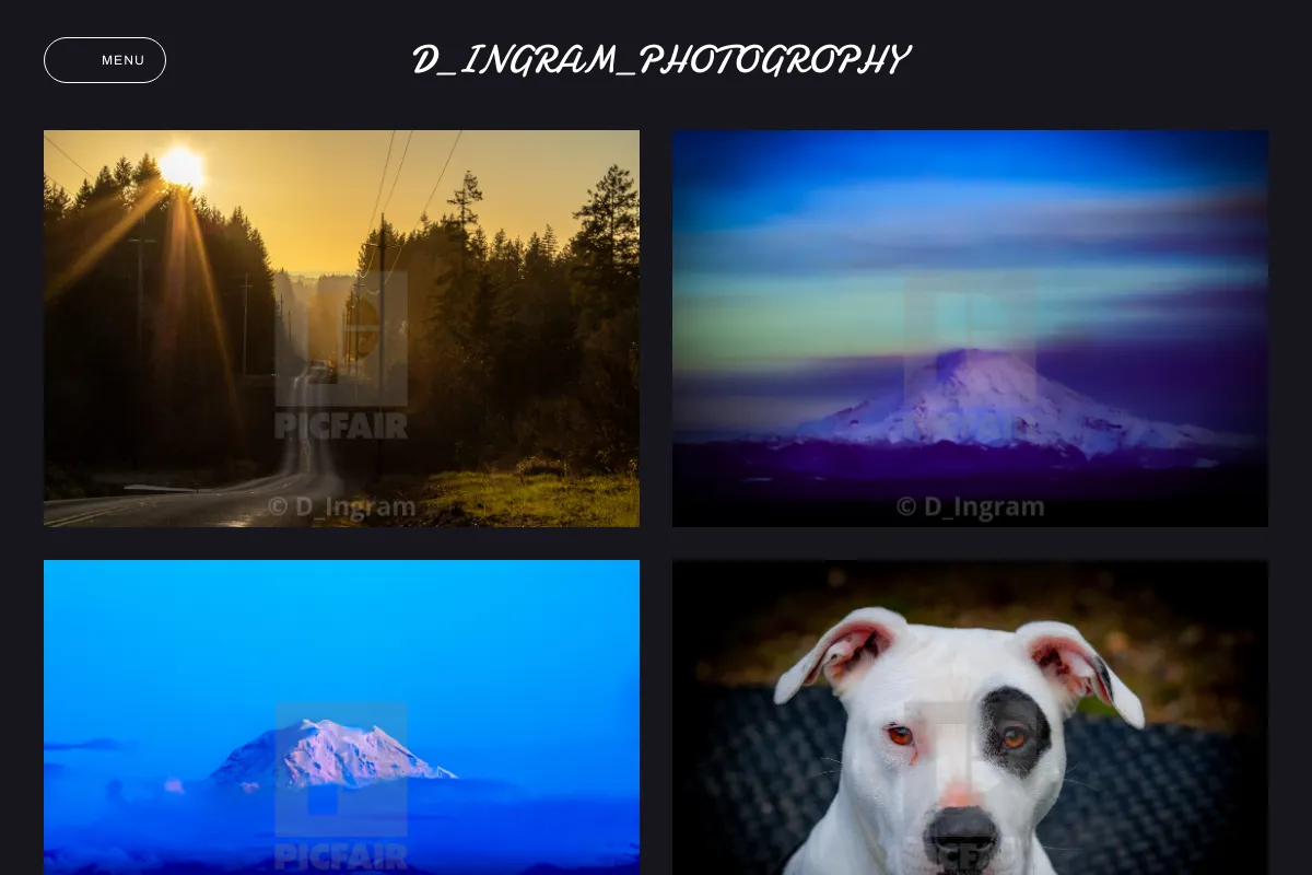 D_Ingram_Photogrophy