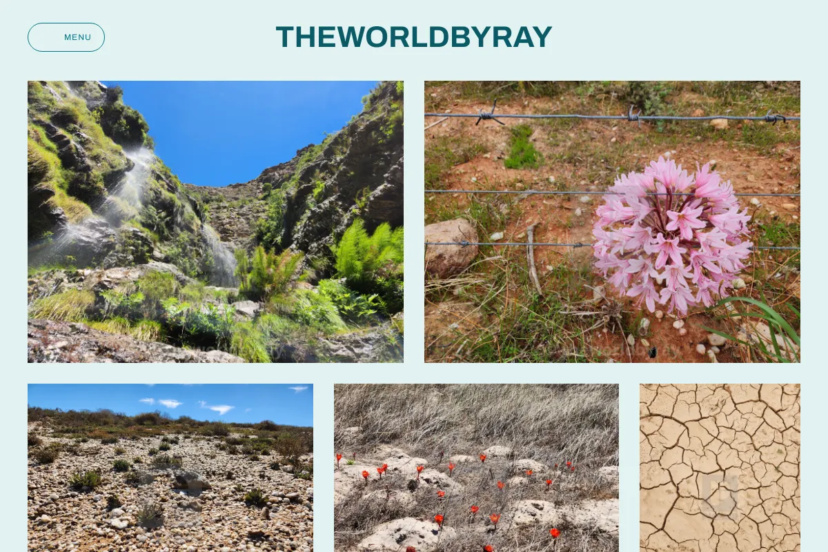 theworldbyray