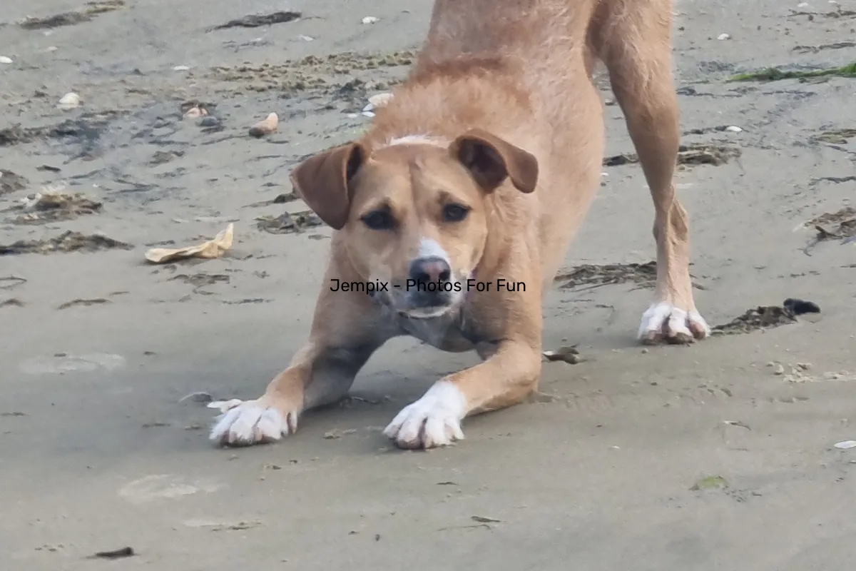 Jempix - Photos For Fun