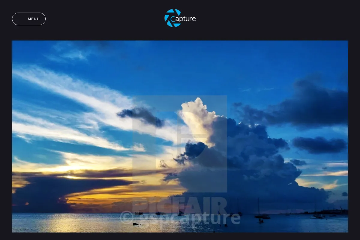 Capture