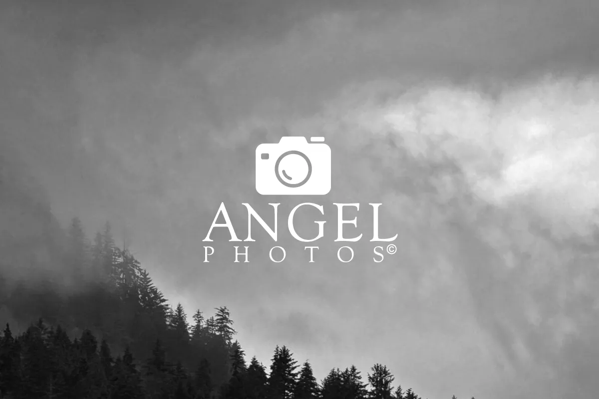 Angelphotos