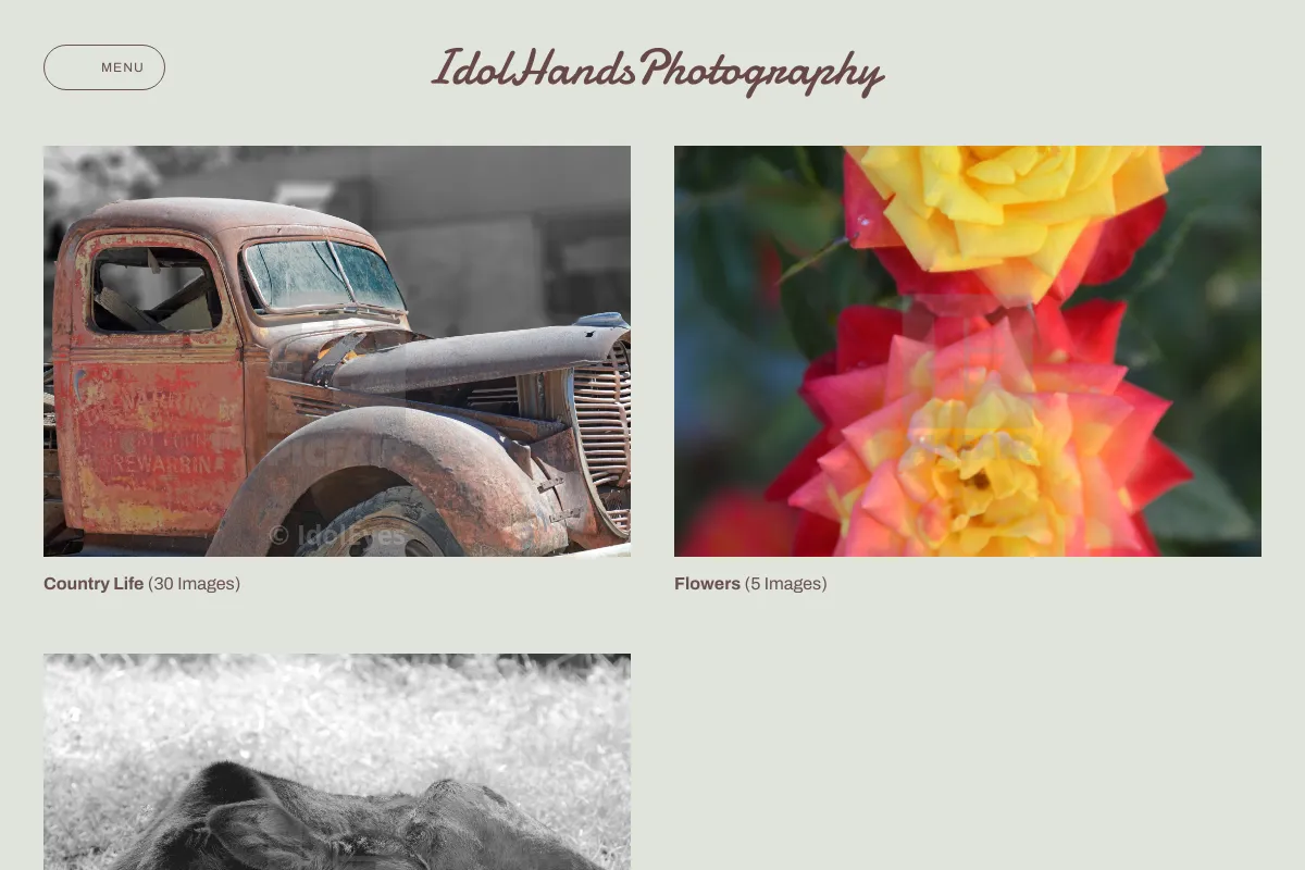 IdolHandsPhotography