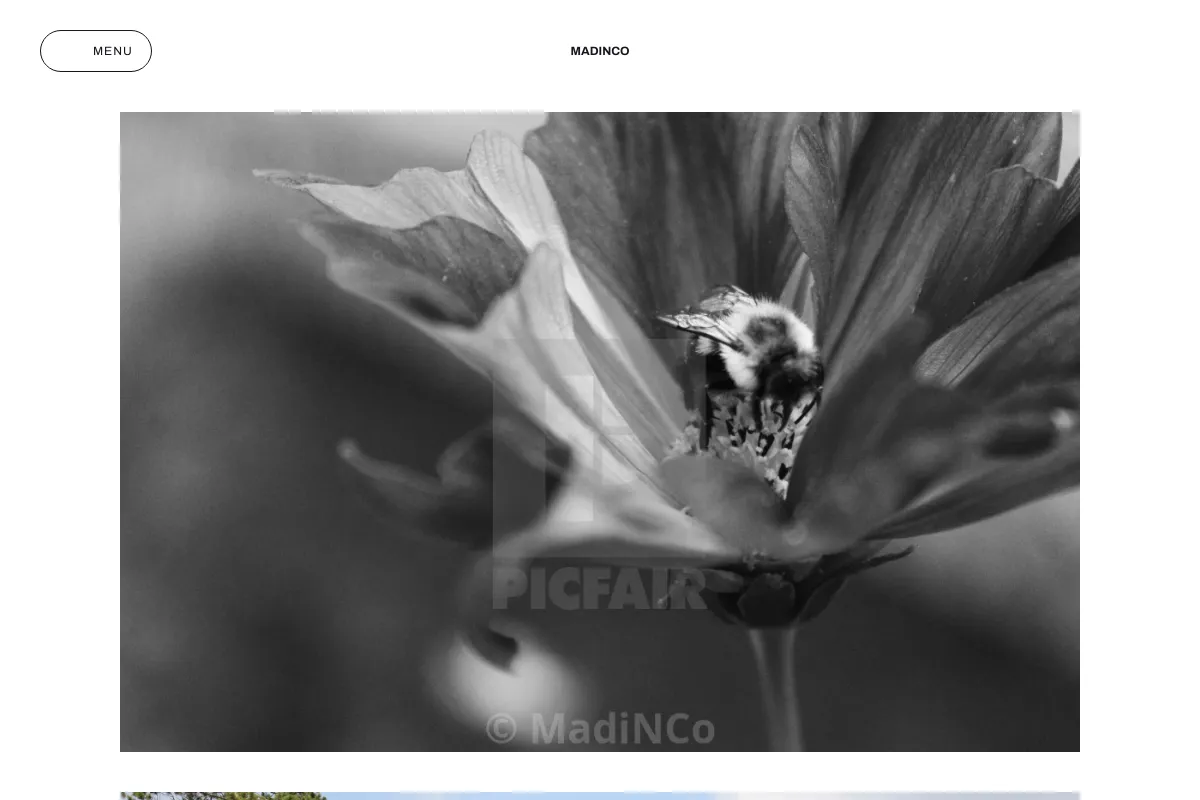 MadiNCo