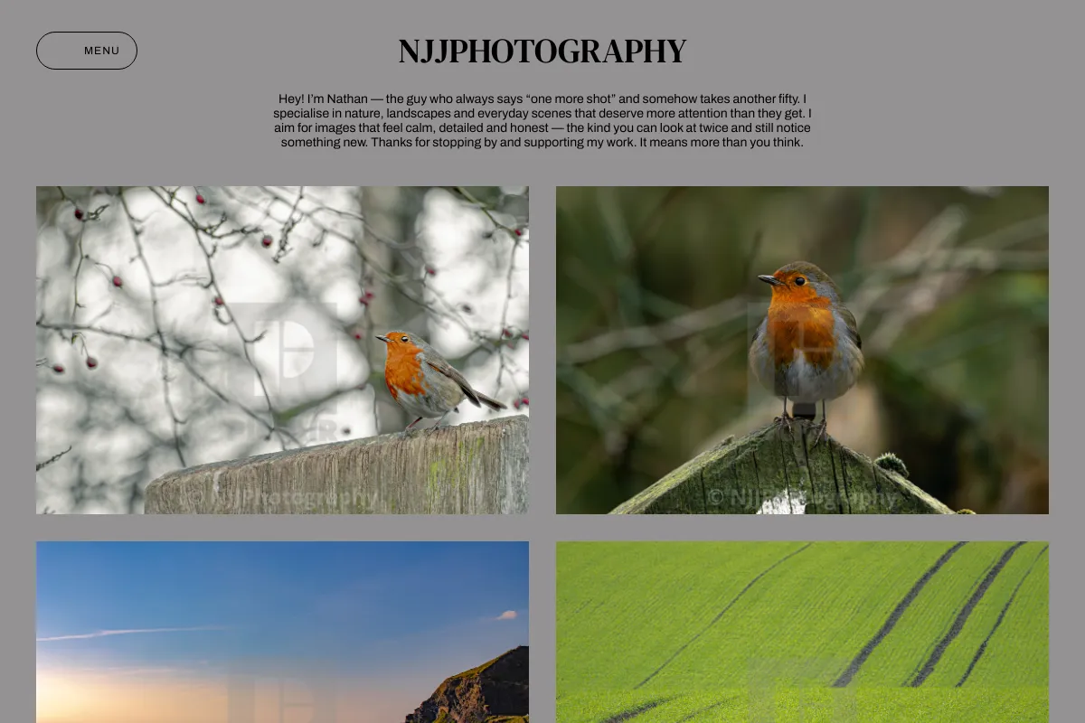 NJJPhotography
